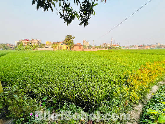 ২ কাঠা জমি 01737136107